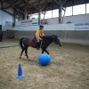 Ponyralley 114